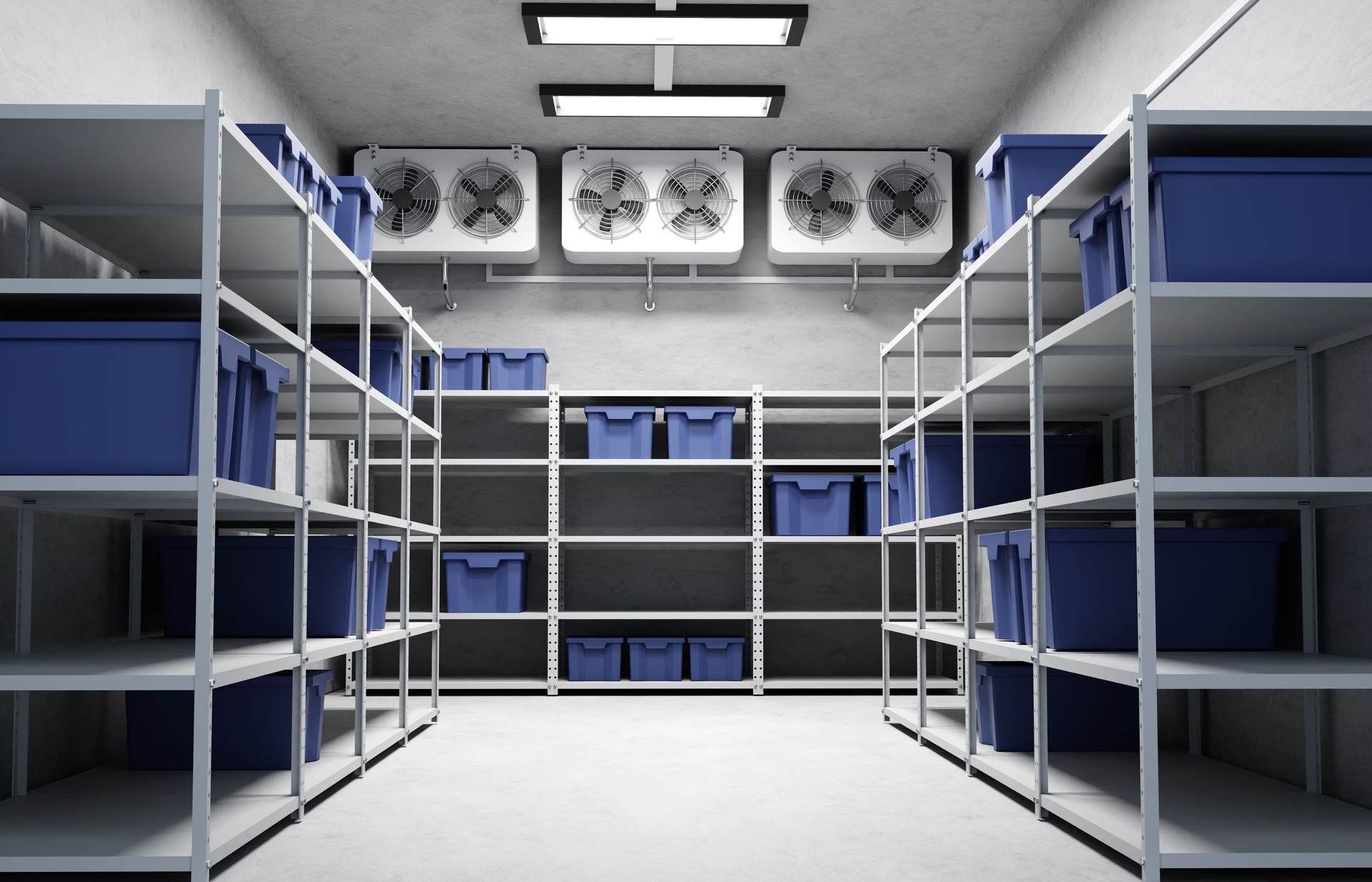 Refrigeration warehouse for food. Metal shelves frozen foods with boxes