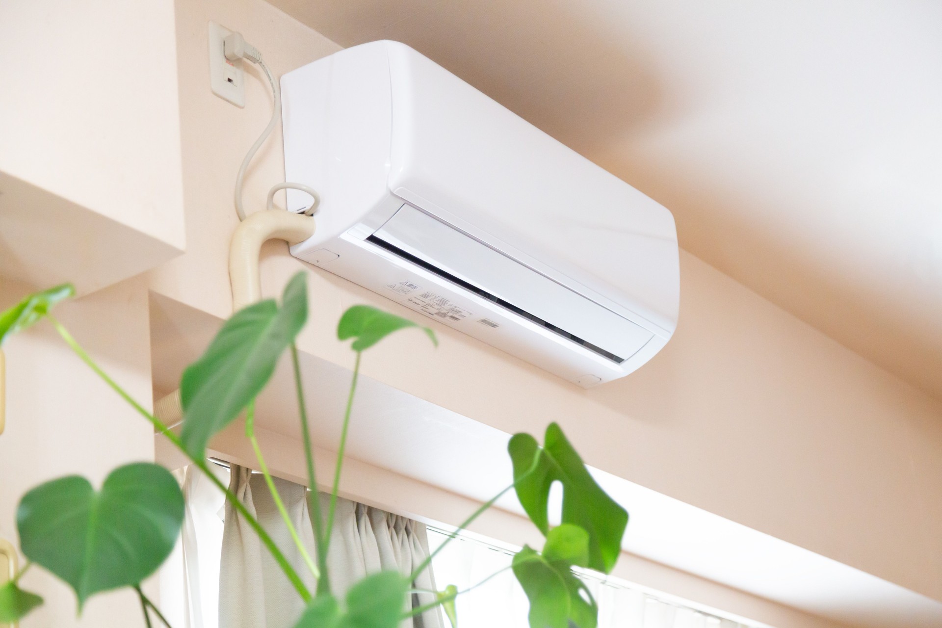 Air conditioner and green plant in the room.
